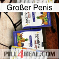 Großer Penis 12
